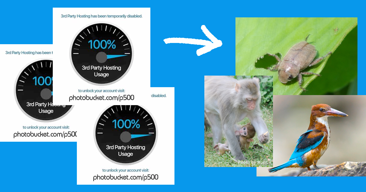 HKWildlife databaserescue